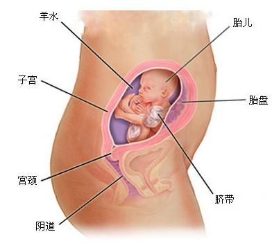 了解怀孕了做超导人流的价格